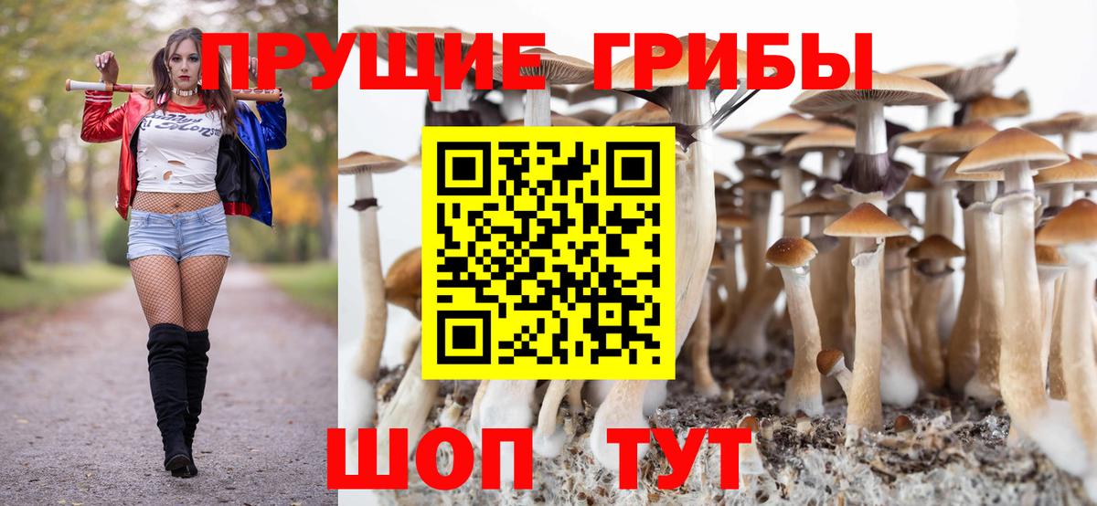 Зеленодольск  Галлюциногенные грибы Psilocybine cubensis  Псилоцибиновые грибы Psilocybine cubensis  Вход с VPN 