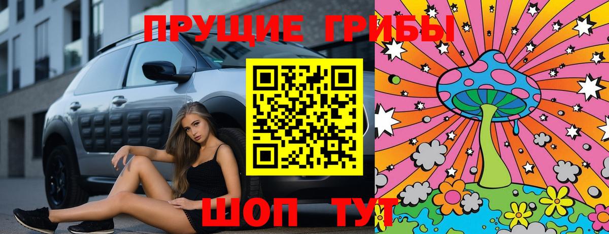 Псилоцибиновые грибы Psilocybine cubensis Зеленодольск